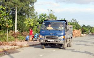 Positive results from domestic investment