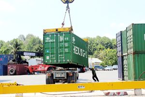 Dong Nai to become a regional logistics center