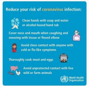 Chairman of the Provincial People's Committee chaired the Steering Committee for prevention and control of acute respiratory infections