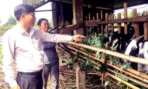 Promoting the National Target Program on sustainable poverty reduction 2020