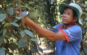 Agricultural restructuring in new period