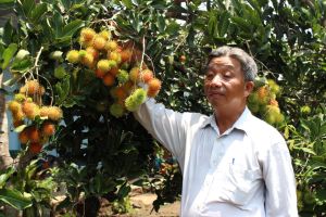 Orientation to make far-reaching for Dong Nai specialties