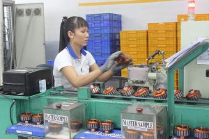Dong Nai still attracts Korean investors