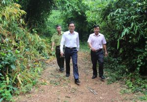 Early completion for Sustainable Forest Management Plant