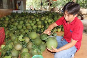 Ensuring Food Security