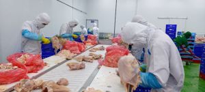 Agriculture Investment by FDI Enterprises