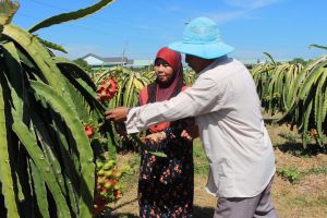 Largest Cham village in province changes day by day