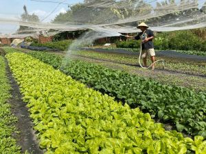 Promoting farmer support fund effectively