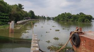 Solutions implemented to accelerate site clearance for projects