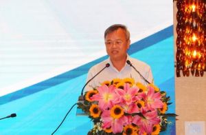 The Southern key economic region has a leading role in development