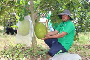 More solutions for environment protection in agricultural production