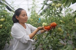 Application of science and technology to production