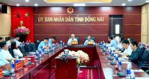 Focus on investment, export and consumption for economic growth