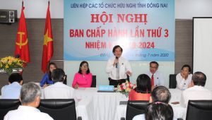 Organize a meeting for the establishment of provincial Vietnam - ASIAN Friendship Association