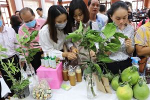 Making a low-cost and eco agriculture