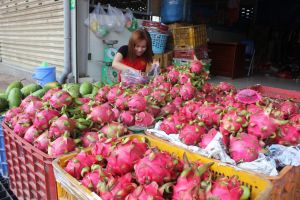 Opportunities to increase agricultural exports to the EU