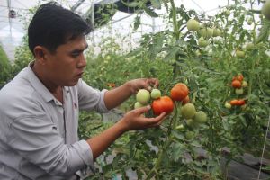 Many projects on Agricultural Development