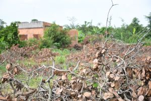 Construction of Phan Thiet-Dau Giay to kick off in late September 2020