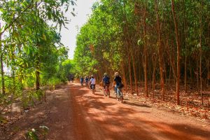 Dong Nai to build a semi-wild zoo