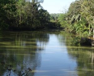 Investment of socialized irrigation system in La Buong lake
