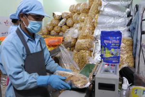 Investment attraction in processing Agricultural products