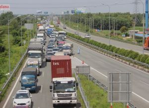 Dong Nai plays important role in linking SKEZ