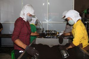 Positive signs for Coffee exports