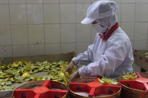 Focus on domestic market