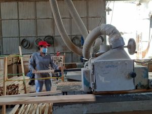 The wood industry aims to "green production"