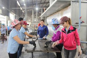 Efforts to ensure regimes, policies of Employees