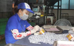 Dong Nai among highest-growing economies nationwide