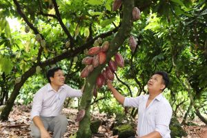 Considering market strategies for agricultural products