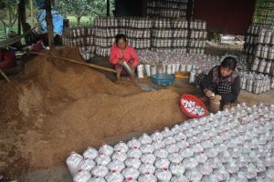 Looking for solutions to develop craft villages