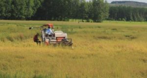 Dong Nai reduces nearly 7 thousand hectares of crops annually