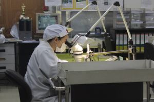 Export of electronics increased