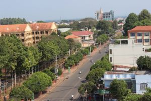 Dong Nai lease forest land for safari
