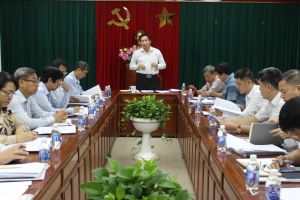 Do not re-auction the mining rights of Thien Tan 10 and Tan Cang 8 quarries.