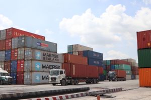 Consider and choose reputable exporters in the province