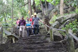 Forest environmental resources: Unexploited potential