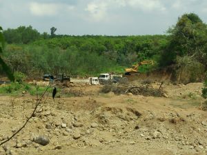 Tightening the management of mining