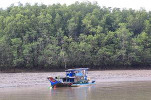 Converting nearly 487ha of forestry land