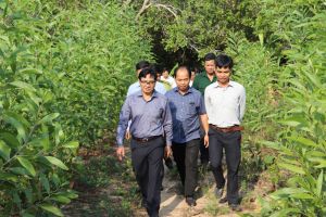 Dong Nai has more than 33.7 thousand hectares of production forest land