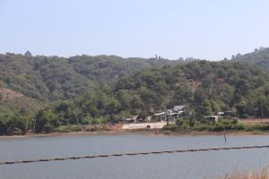 Proposing of land allocation, land lease with 4 types of projects