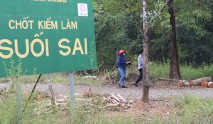 Rental service about 38,000 hectares of forest