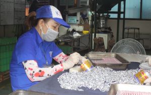 Industry enterprises supporting export of 6.3 billion USD