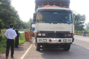 Free quick test for freight carriers