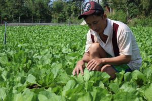 Manufacturing enterprises need the stable food suppliers