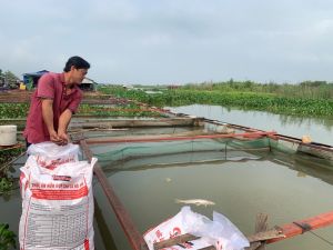 The price of input agricultural meterials have sharply increased