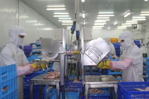 Agricultural production has faced the capital restraint