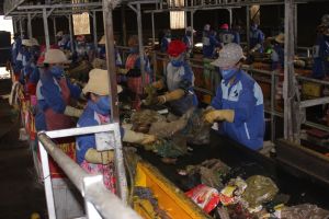 Waste treatment capacity of factories is about 12 thousand tons per day